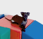 chiot